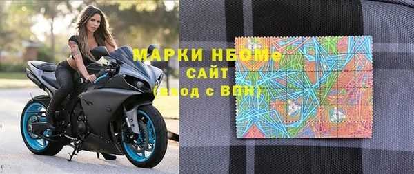 прущие грибы Белокуриха