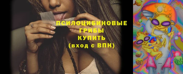 гидропоника Белоозёрский