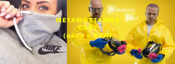 прущие грибы Белокуриха