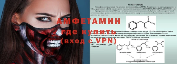 прущие грибы Белокуриха