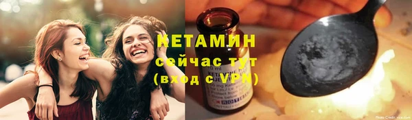 прущие грибы Белокуриха