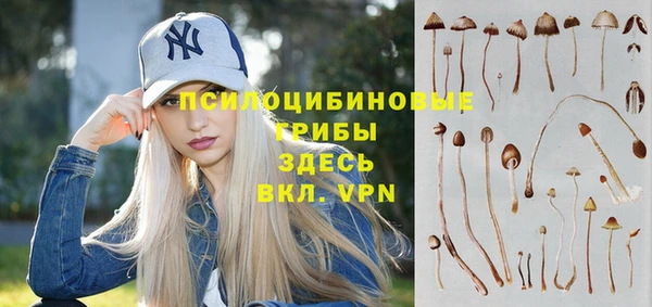 прущие грибы Белокуриха