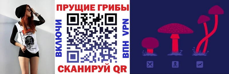 Галлюциногенные грибы Cubensis  купить   Воркута 
