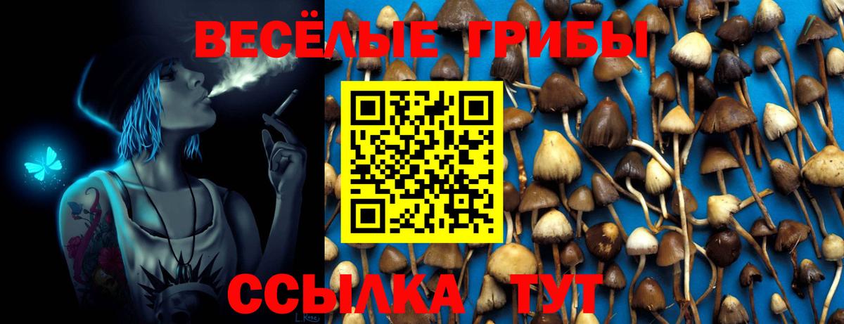 купить наркотик  Вход с VPN  Воркута  Псилоцибиновые грибы GOLDEN TEACHER 