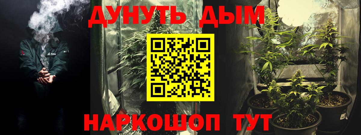 Конопля марихуана Воркута